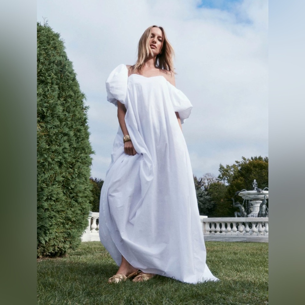 BNWT Caroline Constas Palmer Dress